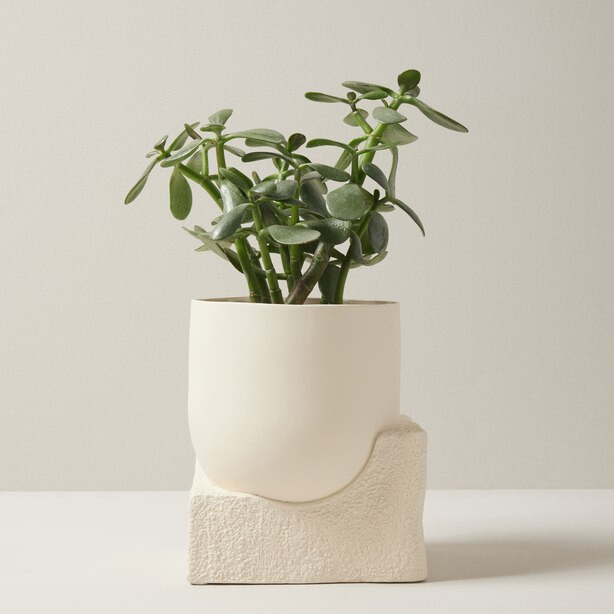 6" SCULPTURAL PLANTER, IVORY | Indigo (CA)