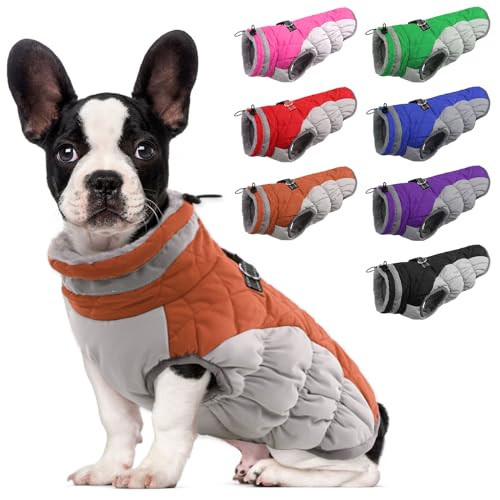 Lelepet Warm Dog Winter Coat Cold Weather Jacket Windproof Reflective Turtleneck Vest with Plush Neckline D-Ring for Leash Thick Fleece Lining Jacket Pet Apparel for Small Medium Large Dogs(X-Small) | Amazon (US)