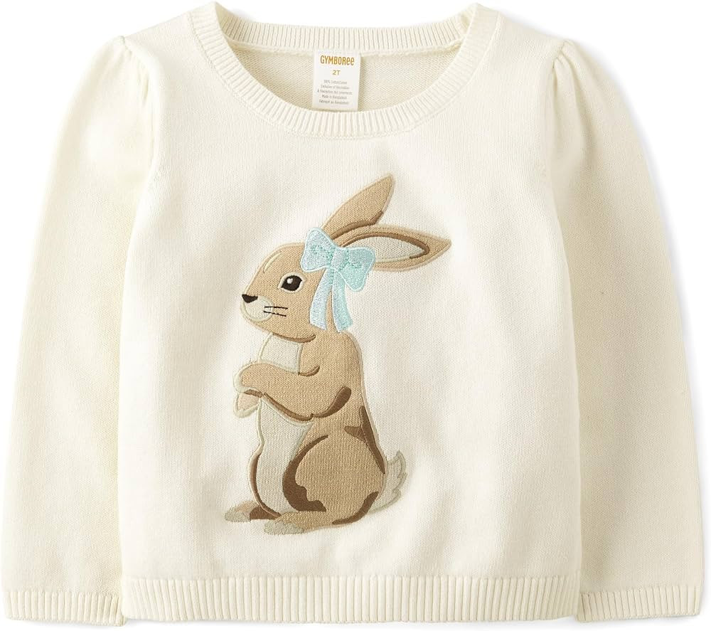 Gymboree Girls' and Toddler Long Sleeve Pull Over Sweater | Amazon (US)