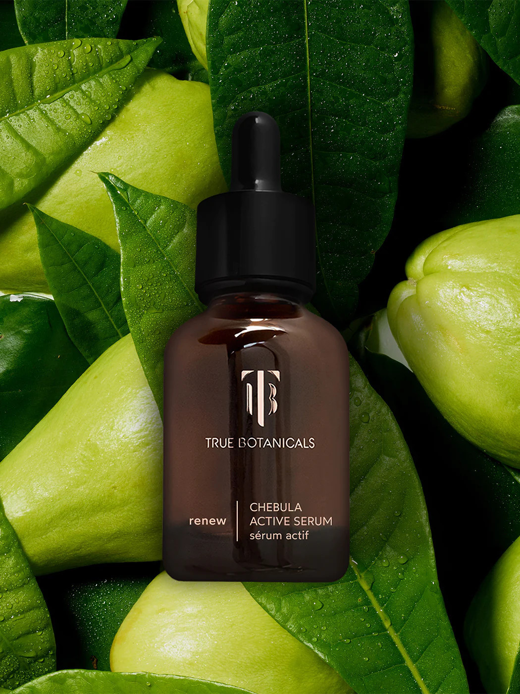 Renew Chebula Active Serum | True Botanicals