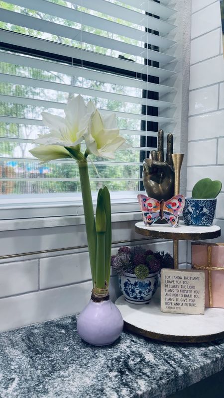 Spring is here! My good friend gifted me this waxed dipped amaryllis bulb for my birthday and it’s blooming beautifully!

I have linked some chinoiserie pots, Lauren Dunn art, a similar cake stand and art!  

#LTKhome #LTKSeasonal #LTKVideo