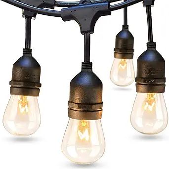 addlon 48 FT Outdoor String Lights Commercial Grade Weatherproof Strand, 16 Edison Vintage Bulbs(... | Amazon (US)