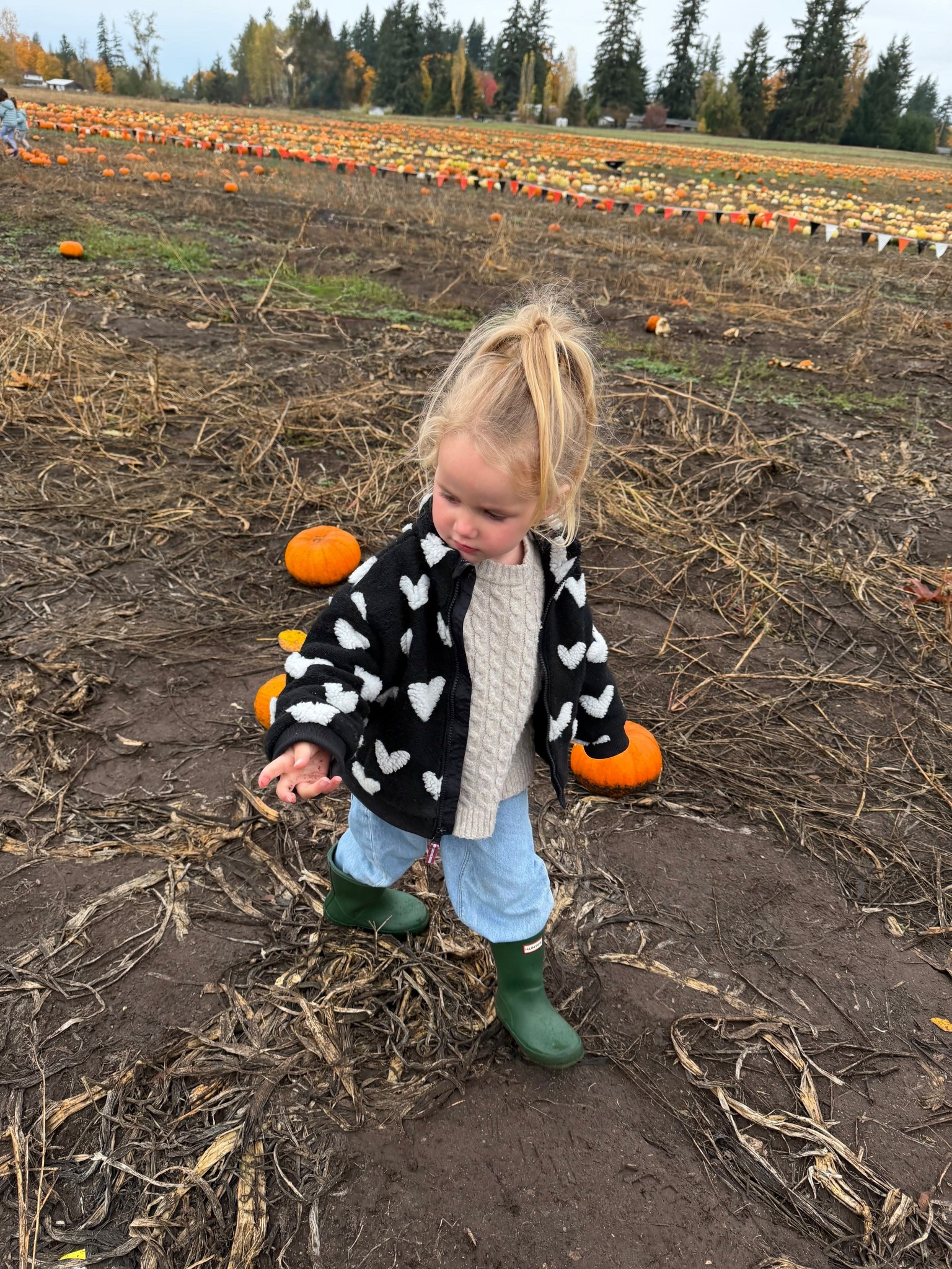 The cutest little fleece from target it’s cat & jack! 

#LTKBaby #LTKSeasonal #LTKKids