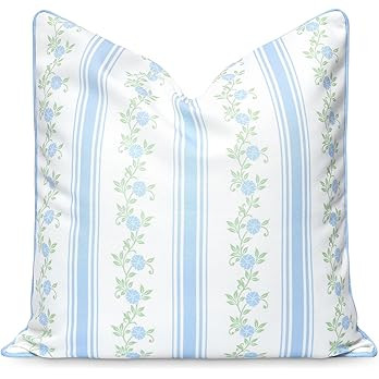 Hofdeco Premium Coastal Patio Indoor Outdoor Throw Pillow Cover Only, 20"x20" Water Repellent for... | Amazon (US)