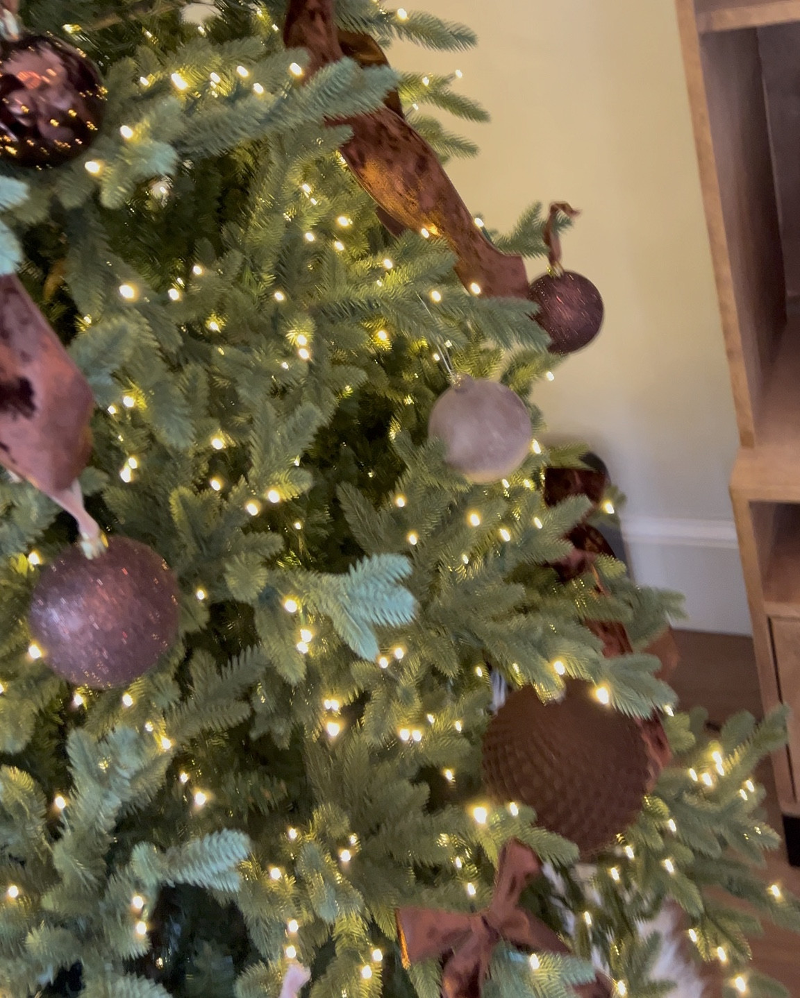 The best brown velvet ribbon for bows!

And brown velvet ornaments 

#LTKHome #LTKSeasonal #LTKHoliday