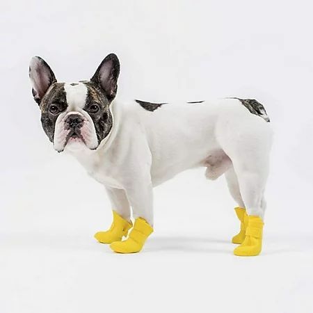 Canada Pooch Yellow Wellies Dog Boots XLarge | Walmart (US)