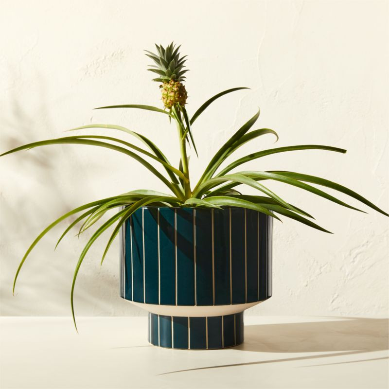 Komo Green Striped Ceramic Indoor/Outdoor Planter Small | CB2 | CB2