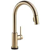 Delta Faucet Trinsic VoiceIQ Touchless Kitchen Faucet with Pull Down Sprayer, Smart Faucet, Alexa an | Amazon (US)