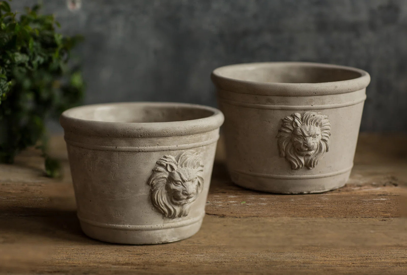Canora Grey Lynda Round Lion Concrete Pot Planter & Reviews | Wayfair | Wayfair North America