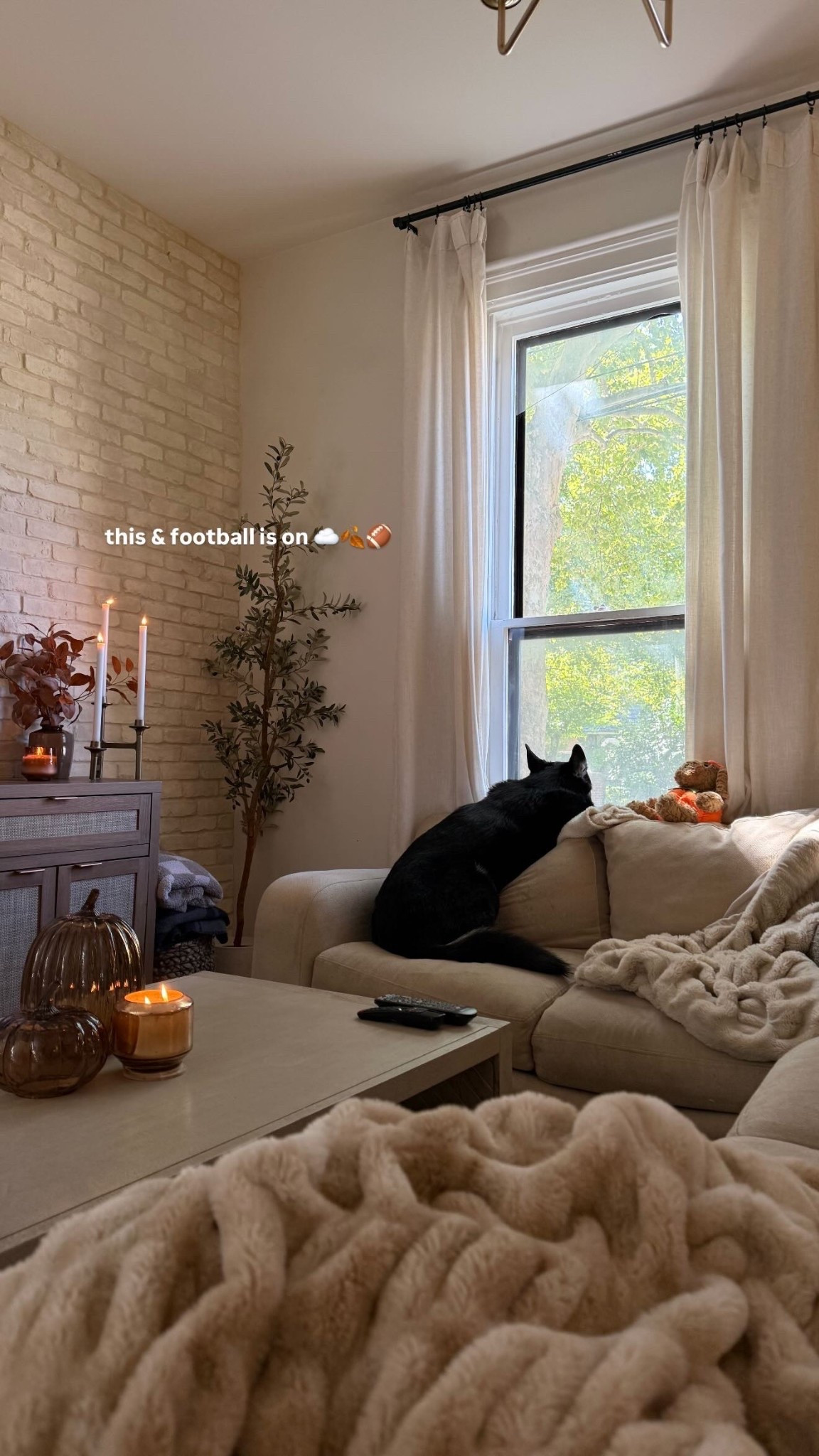 cozy living room ☁️🍂 



fall decor / autumn home inspo / target finds / amazon home 

#LTKHome #LTKFindsUnder50 #LTKSeasonal