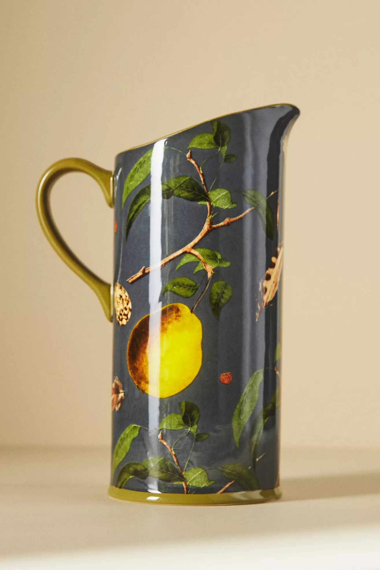 Nature Studies Pitcher | Anthropologie (US)