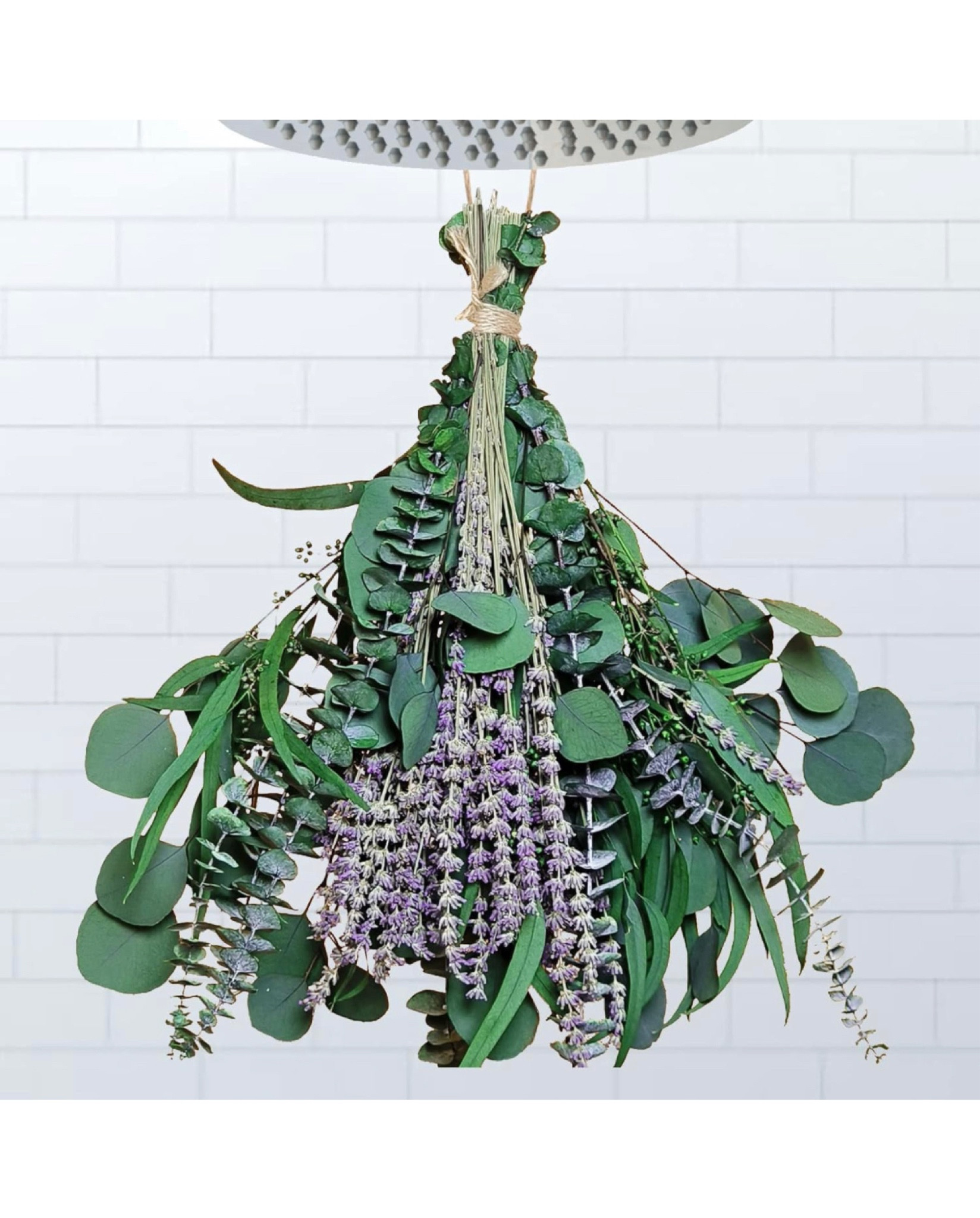 Eucalyptus & lavender for shower, eucalyptus in shower, lavender in shower. Relaxing self care must have! ✨✨


#LTKsalealert #LTKGiftGuide #LTKfamily