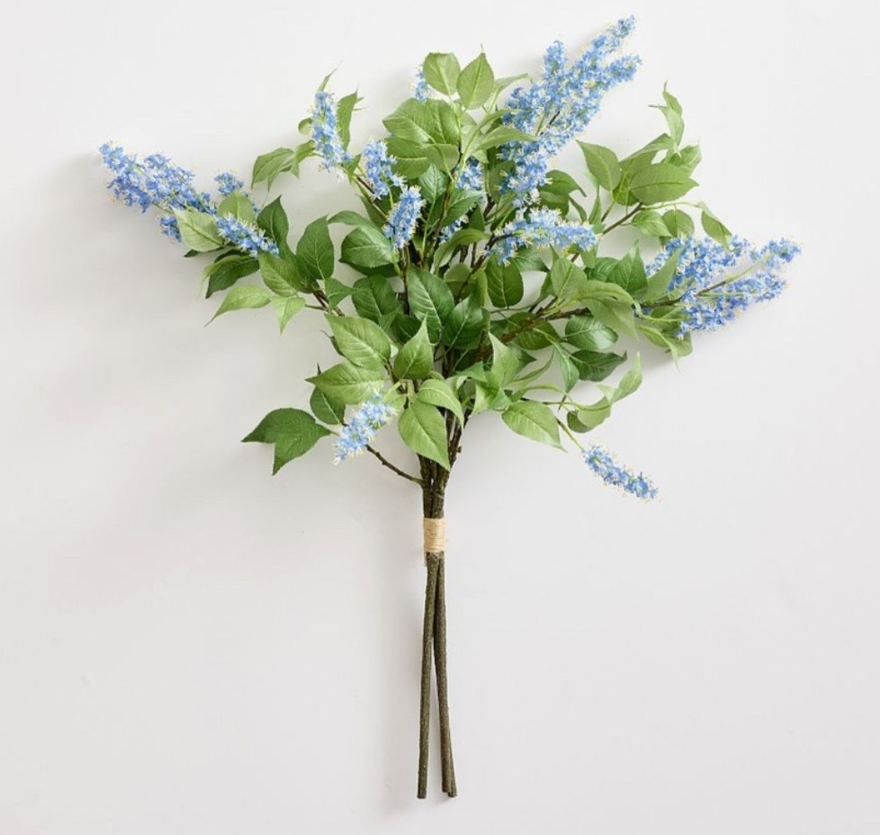 Blue butterfly bush stems are pure magic! 


#potterybarn #fauxflorals #flowers

#LTKdayinmylife #LTKSeasonal #LTKHome