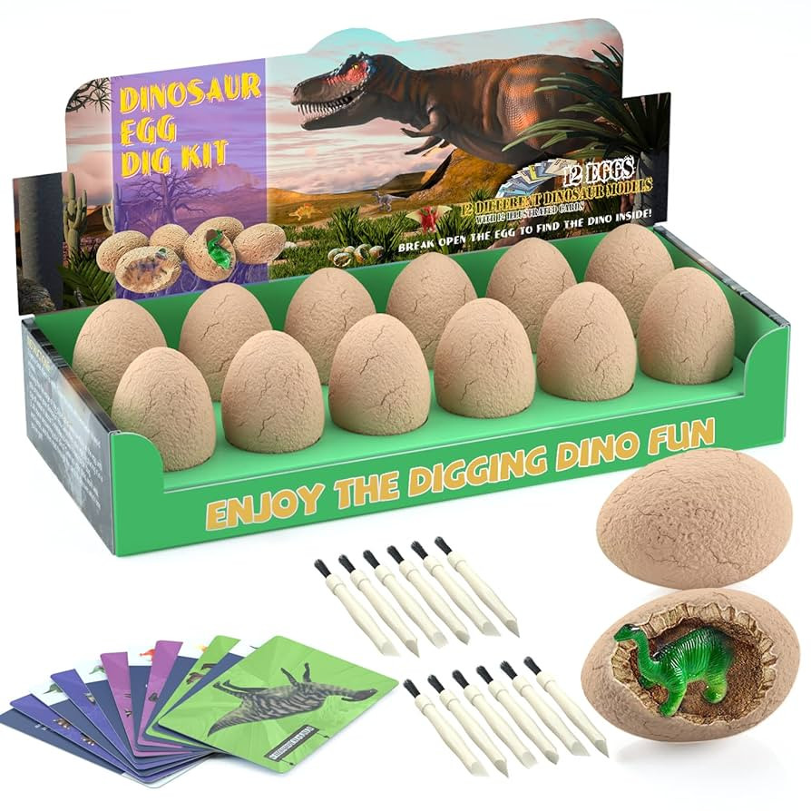 Bigear Dinosaur Eggs Excavation Dig Kit - Dinosaur Toys for Kids - Break Open 12 Dinosaur Eggs an... | Amazon (CA)