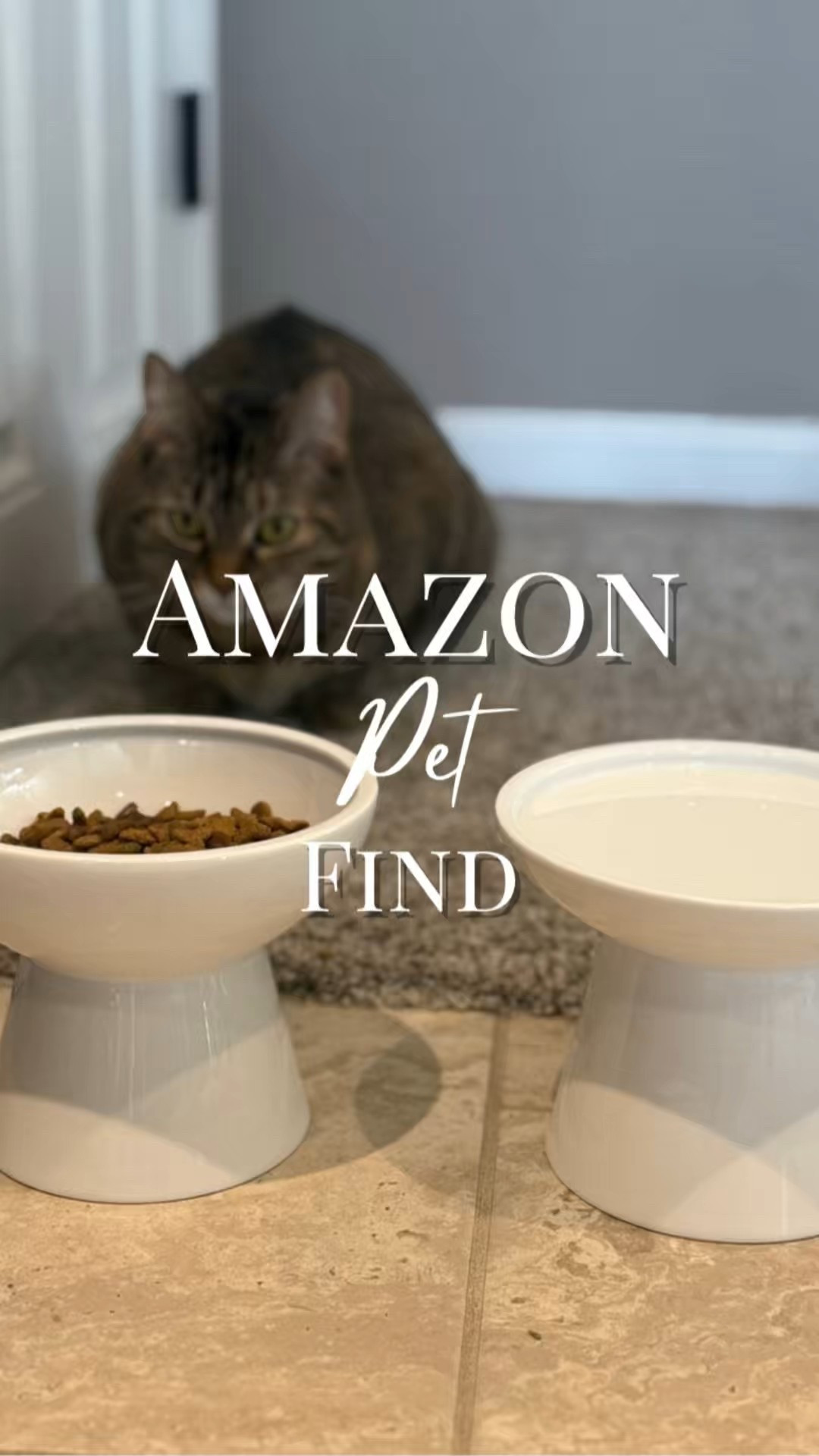 I love these elevated cat bowls! They come in several different colors and really help your cat out when they eat at a normal angle. Great for digestion, pain in older cats, and helps with whisker fatigue.


#LTKPets