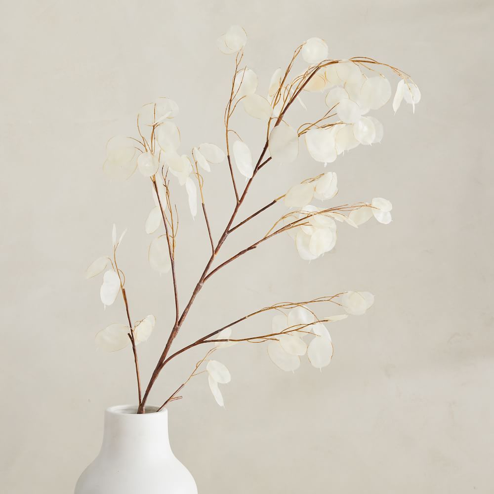 Faux Lunaria Branch | West Elm (US)