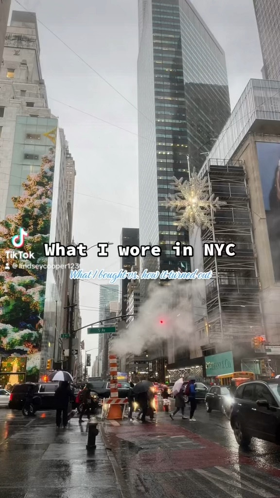 What I wore in NYC last winter : what I bought vs how it turned out 

#LTKstyletip #LTKSeasonal #LTKfindsunder100