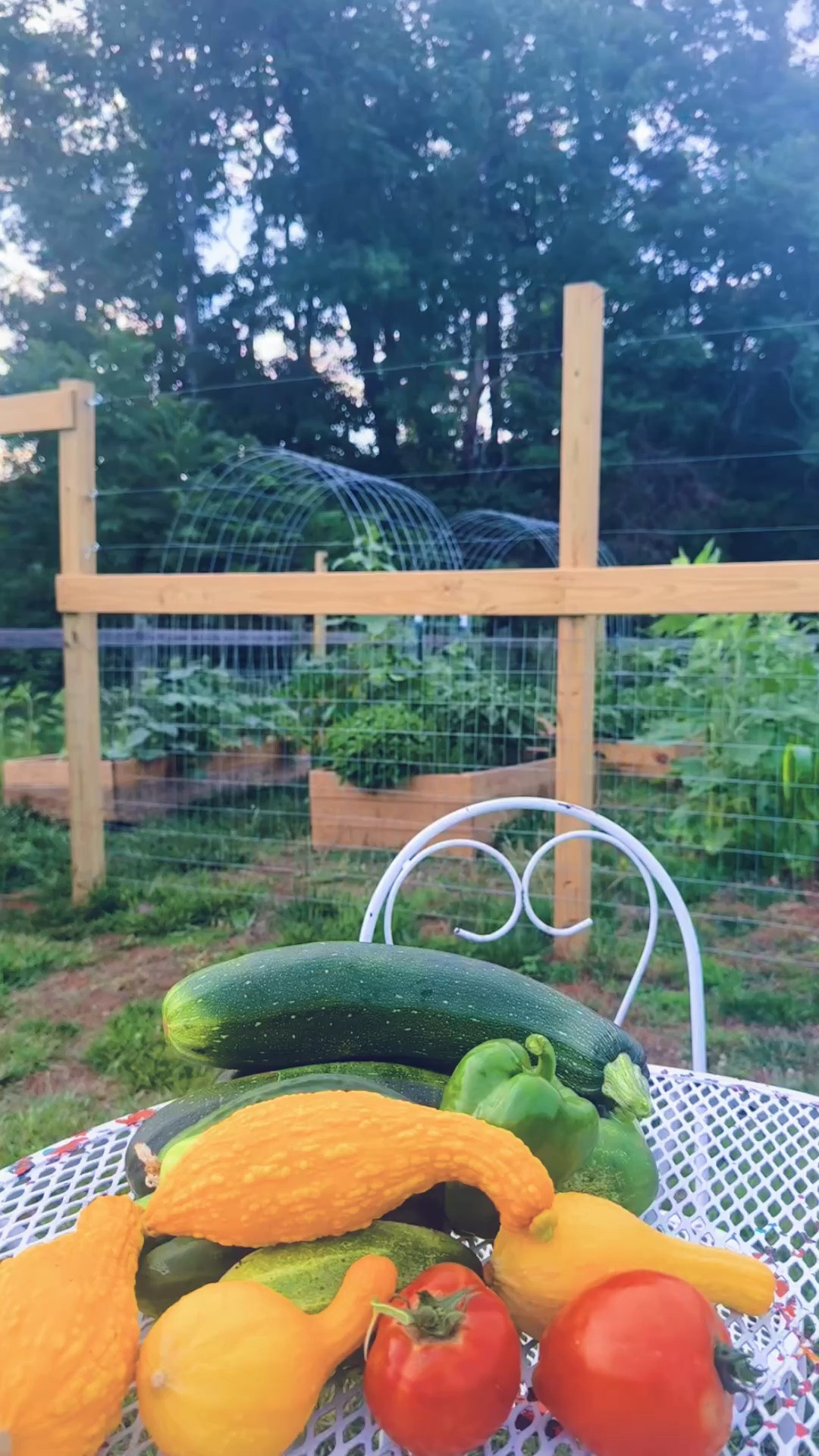 And my GOODNESS 🤭 just LOOK (!!) 👀 at all of our garden 🪴 harvest 🧺 goodies 🍅🥒💛💐🫐🫑 tonight… I am speechless y’all!!! 😍
#happygardenhappymama #farmgardenharvest
