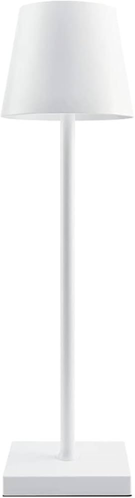 Leroxo Portable Metal Desk Lamp, Cordless LED Table Lamp,3 Color Touch Control Rechargeable Lamp,3-L | Amazon (US)