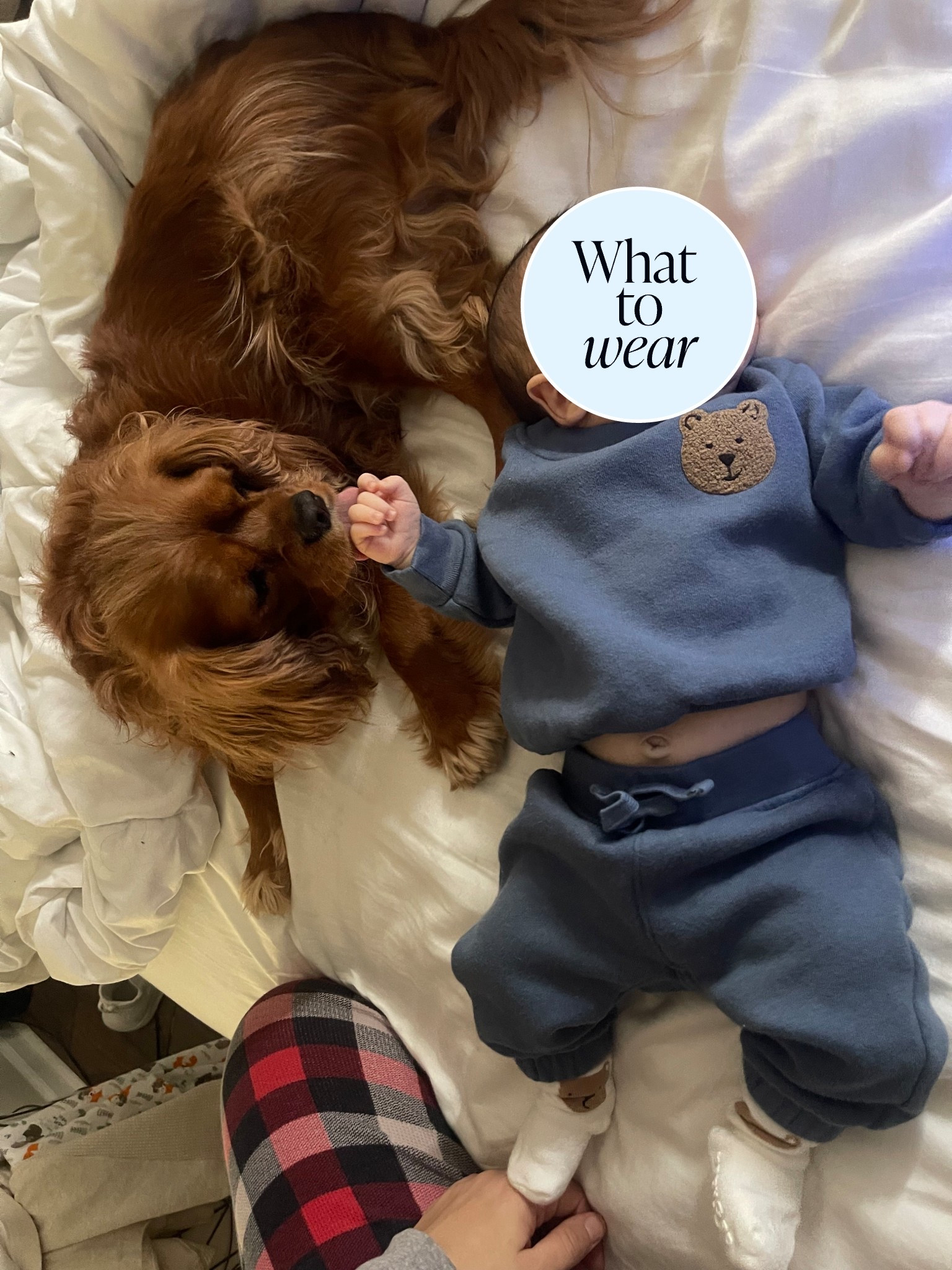 A cozy December morning in our teddy bear gap outfit! I think they have the best baby clothes! its on sale for 30% off right nowb

#LTKSaleAlert #LTKHoliday #LTKBaby