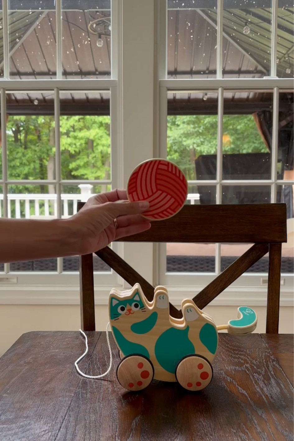 The cutest pull along toy for cat loving babies!