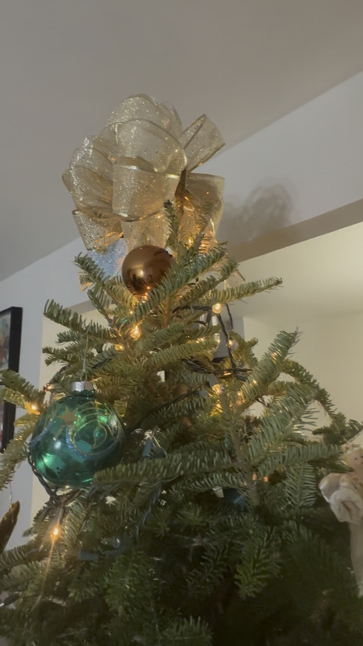 Still looking for Christmas tree decor! These Amazon finds get there in time! What is your Christmas tree theme?

#LTKHoliday #LTKGiftGuide #LTKSeasonal