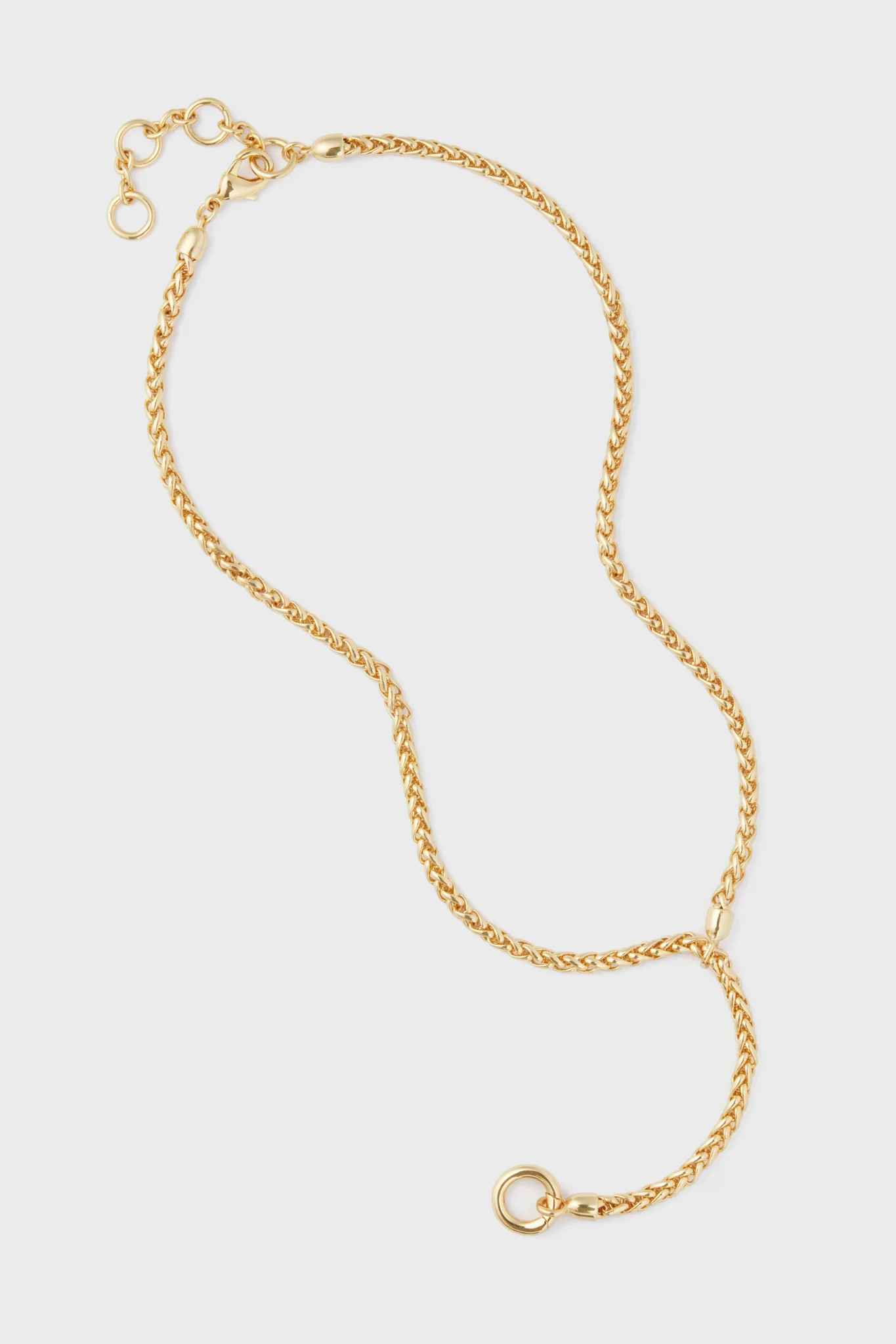 Gold Lariat Necklace | Tuckernuck (US)