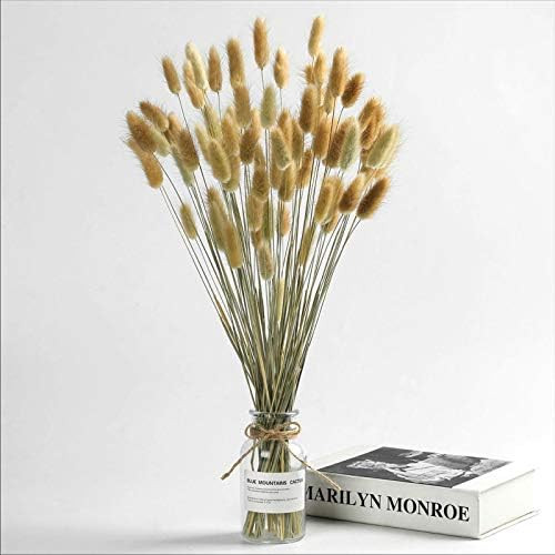 Natural Dried Bunny Tail Grass - 110~120 Stems Rabbit Tail Grass, Lagurus Ovatus for Boho Decor, ... | Amazon (US)