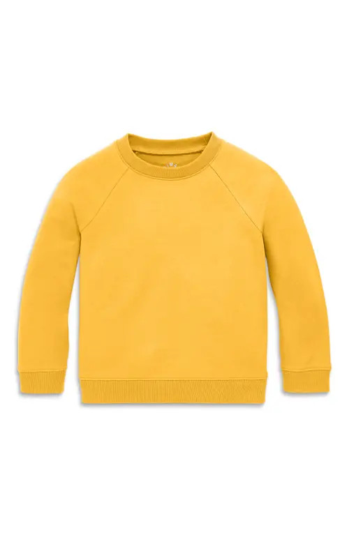 Primary The Sweatshirt in Sunflower at Nordstrom, Size 10 | Nordstrom
