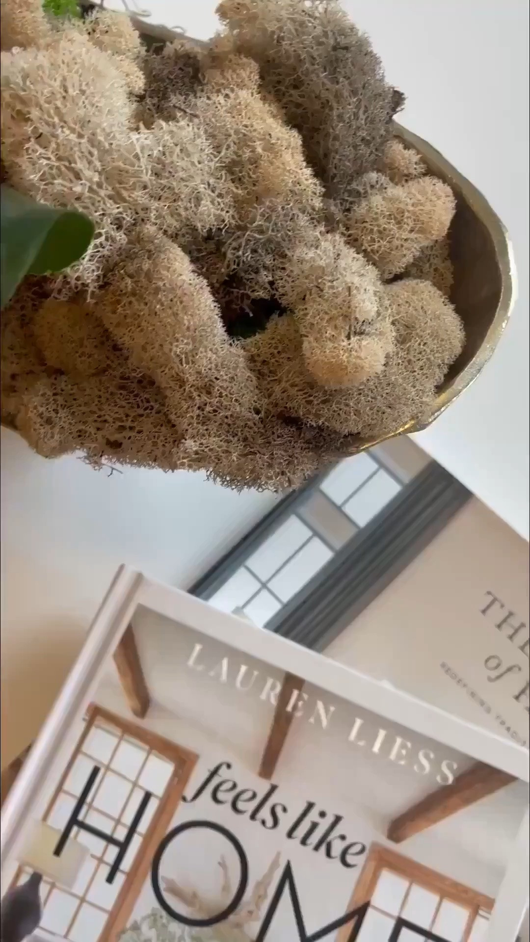 SecretsofYve: functional home decor books. @amazon
#Secretsofyve #ltkgiftguide
Always humbled & thankful to have you here.. New posts daily at 3pm & 4:15pm EST. 
CEO: PATESI Global & PATESIfoundation.org
@secretsofyve : where beautiful meets practical, comfy meets style, affordable meets glam with a splash of splurge every now and then. I do LOVE a good sale and combining codes! #ltksalealert #ltku #ltkplussize #ltkmidsize #ltkover40 #ltkpetite #ltktall #ltkvlog #ltkmens 
#ltkdayinmylife #ltkmomlife
secretsofyve

#LTKSeasonal #LTKHome #LTKmomlife
