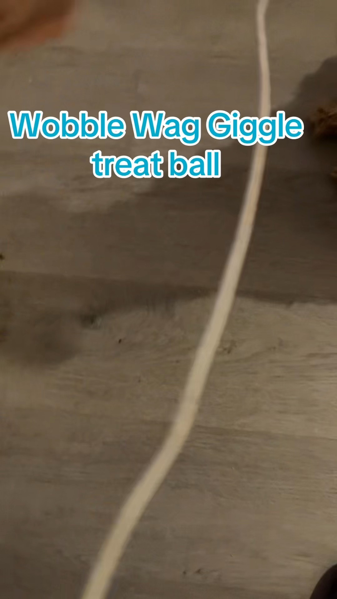 Wobble Wag Giggle Treat Ball- Interactive Dog Toy & Treat Dispenser, Fun Giggle Sounds When Rolled or Shaken, Great for Dogs Pets Know Best


#LTKActive #LTKSeasonal #LTKPets