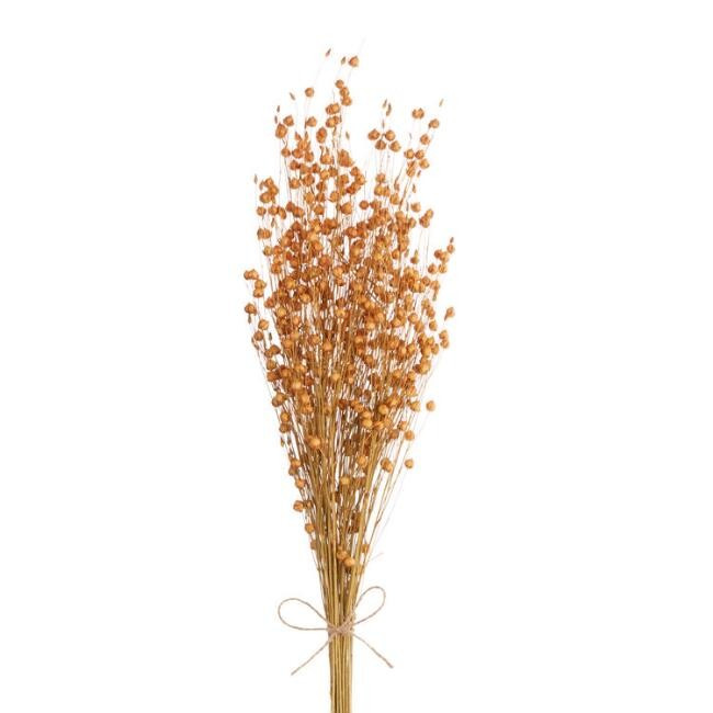 Dried Terracotta Flax Bunch | World Market