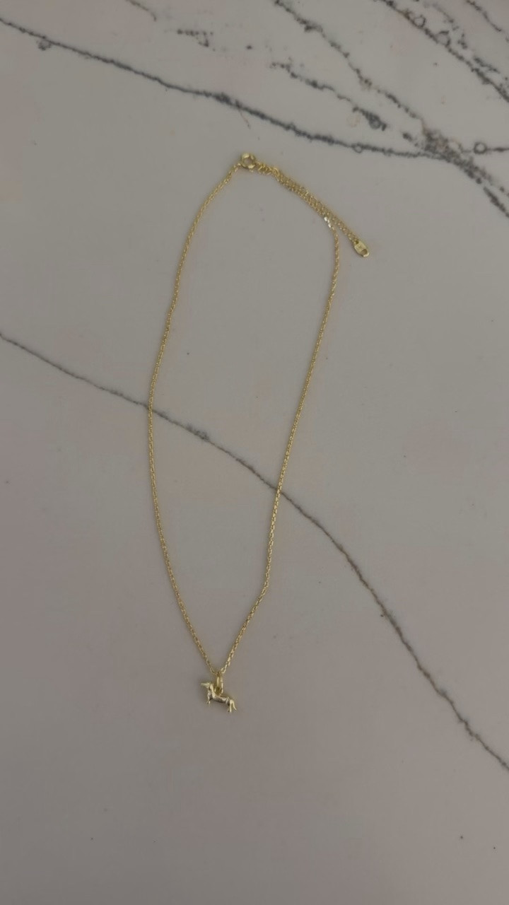 The cutest dachshund necklace. I love how dainty it is! Less than $18

#LTKOver40 #LTKMidsize