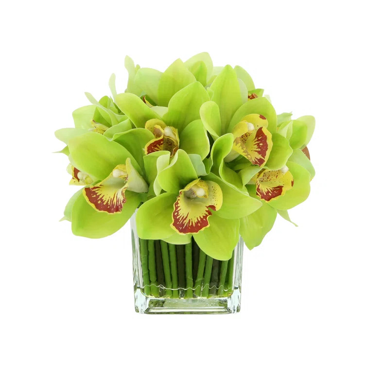 Orchid in Flat Glass Vase | Wayfair North America