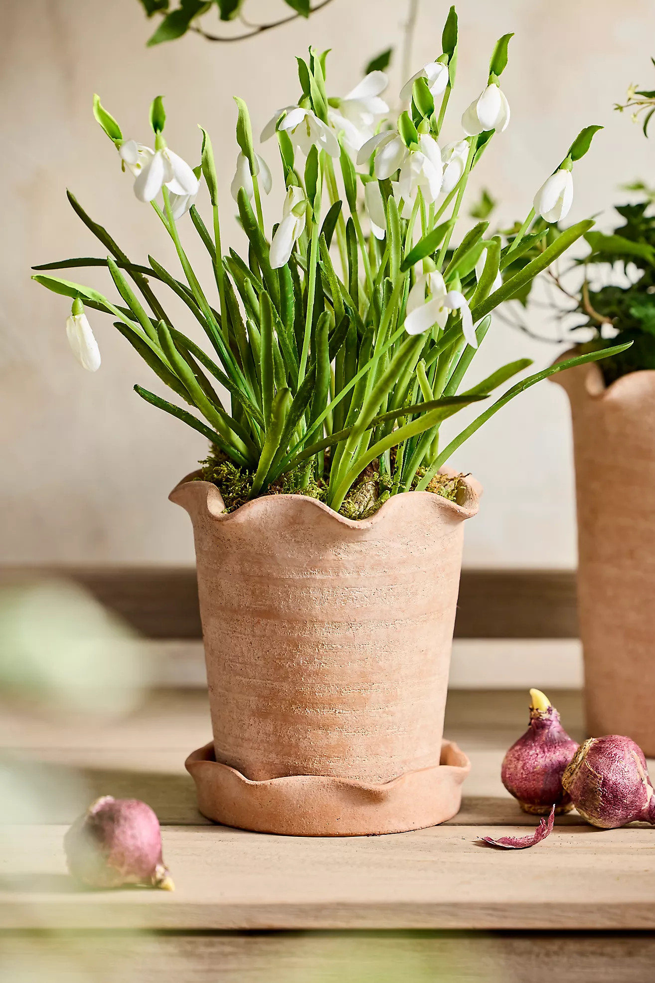 Terracotta Pie Crust Rim Planter, Straight Side | Anthropologie (US)