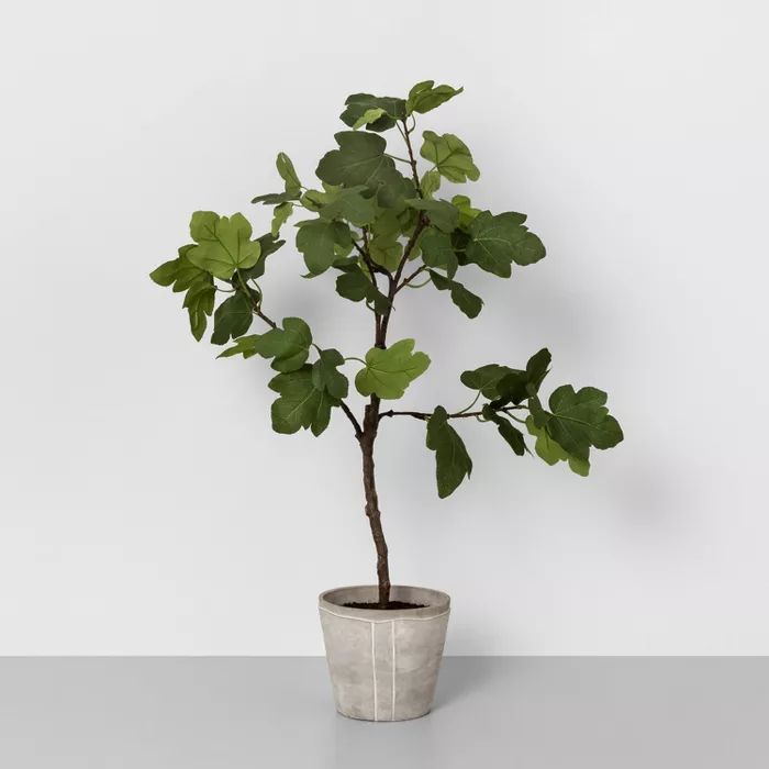 39" Faux Common Fig Potted Plant - Hearth & Hand™ with Magnolia | Target