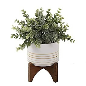 Flora Bunda Artificial Succulent... | Amazon (US)