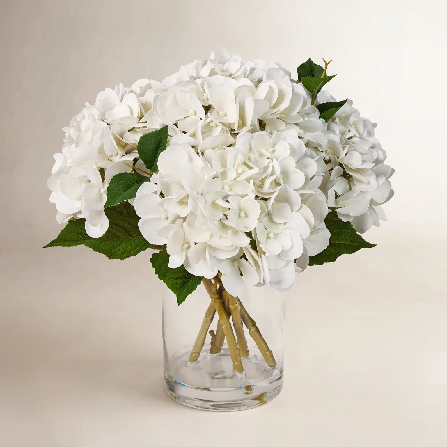 Ashwell Hydrangea Floral Arrangement | Birch Lane