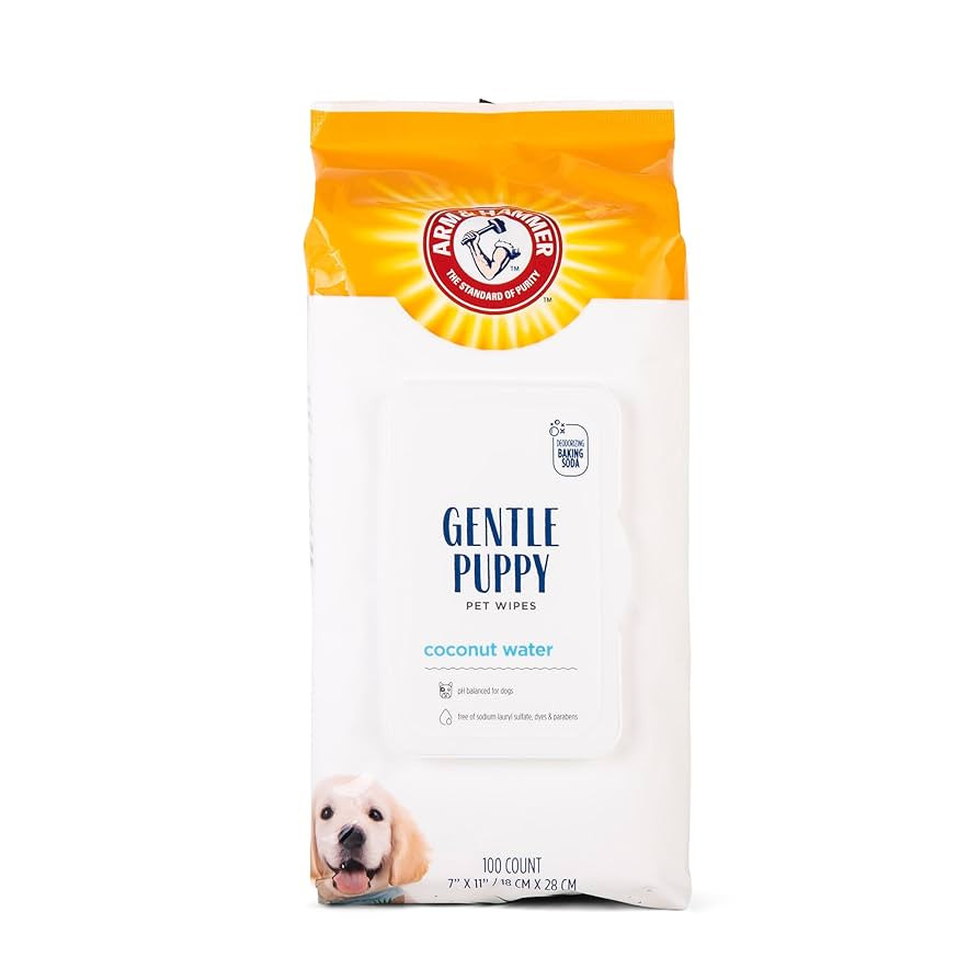 Arm & Hammer Dog Grooming Wipes - Natural Deodorizing Pet Wipe with Coconut - Travel Essential & ... | Amazon (US)
