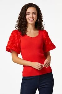 Rosette Mesh Sleeve Top | Cato Fashions