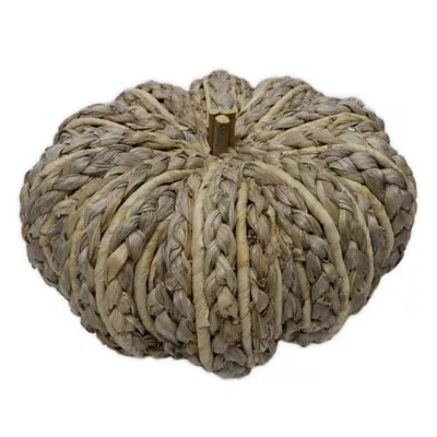 Bee & Willow™ Home 5.5-Inch Corn Husk Pumpkin Decoration | Bed Bath & Beyond