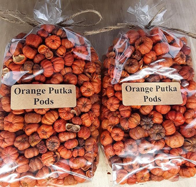 On The Bright Side Mini Orange Putka Pods (Pumpkin Pods) for Potpourri and Bowl Fillers 10 Cups | Amazon (US)