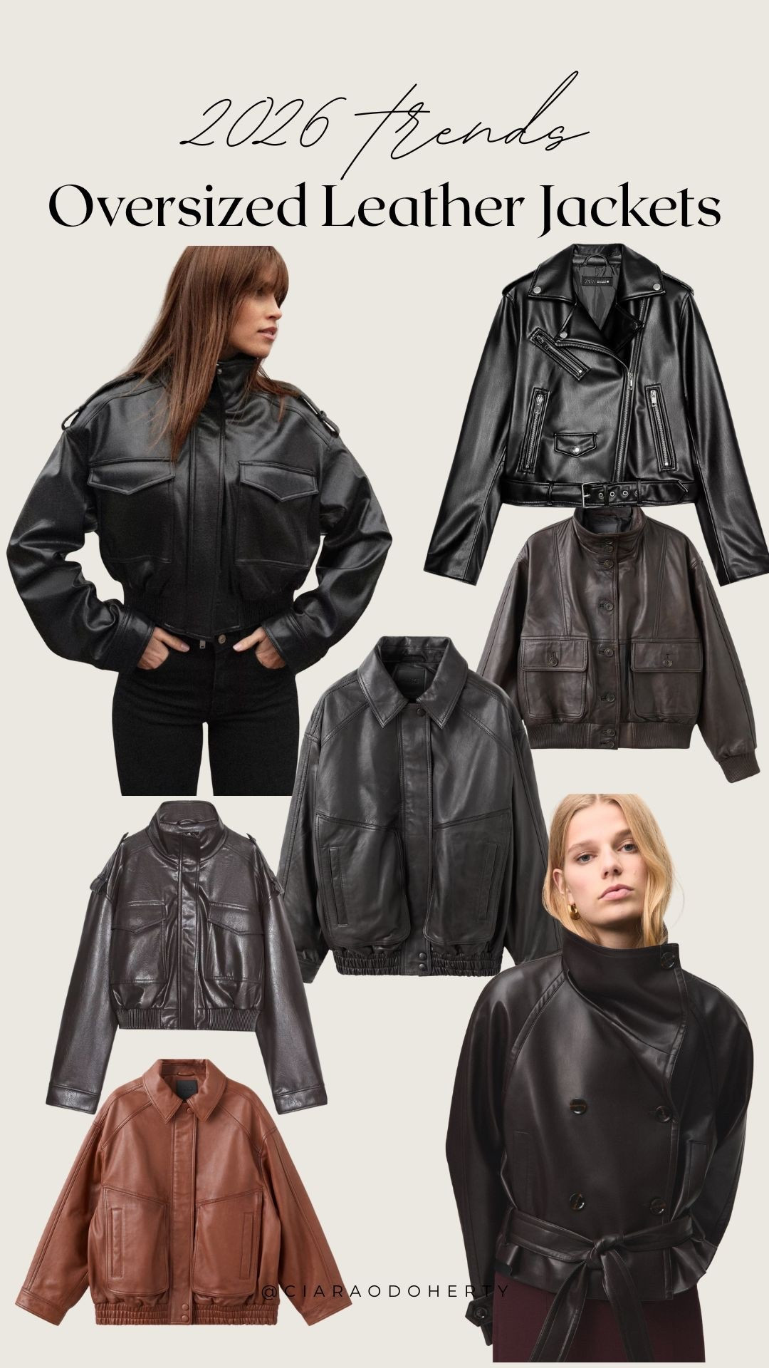 2026 Trends: Oversized Leather Jackets

Leather jacket, biker jacket, sezane, h&m, asos, mango, Zara, arket 

#LTKireland #LTKeurope #LTKwinter
