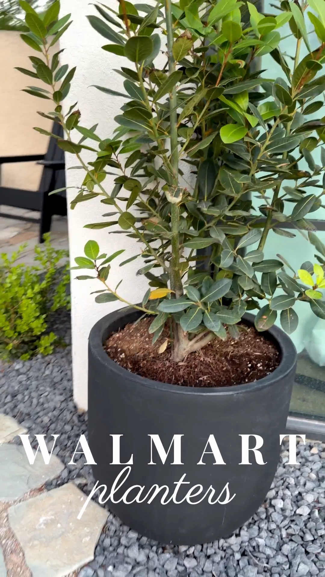 My $35 planters are in stock now! There are 3 sizes— this is the medium. My favorite plants to use in them are Sweet Bay Laurels or Pineapple Guavas. Check them out! 

#outdoorliving #patio #planter #summer

#LTKmorningroutine #LTKHome #LTKSaleAlert