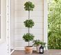 Lit Faux Boxwood Topiary | Pottery Barn (US)