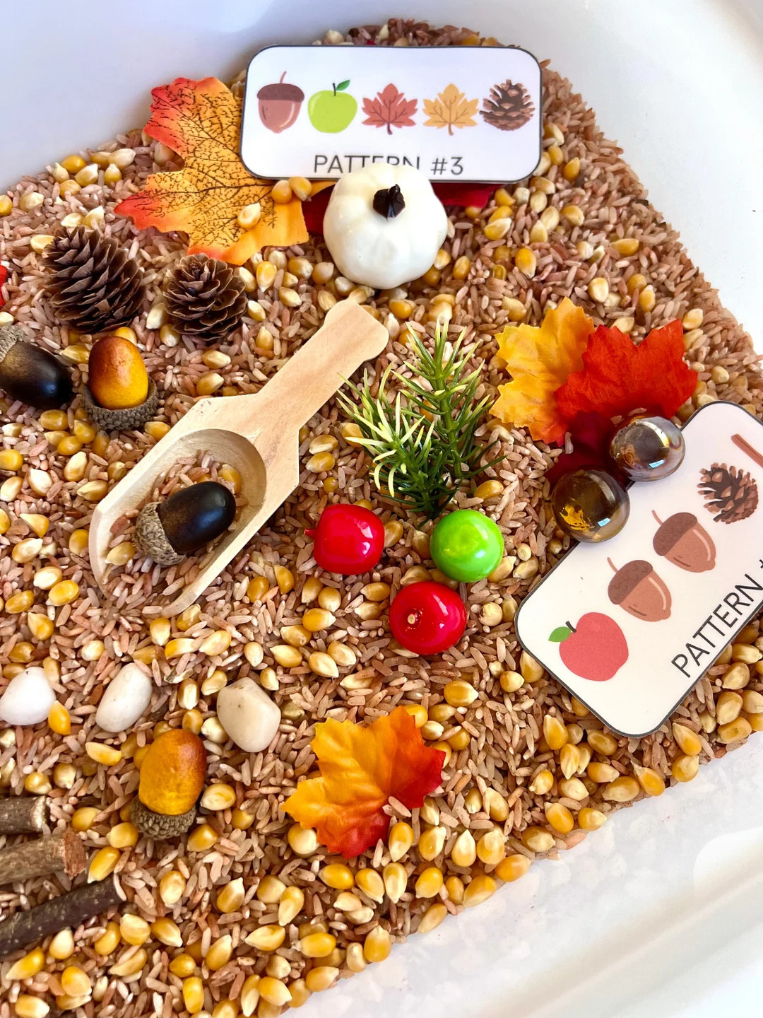 Educational Autumn Activity Box Sensory Play for Kids - Etsy | Etsy (US)