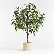 Potted Faux Long Leaf Eucalyptus Tree 9' | Crate & Barrel | Crate & Barrel