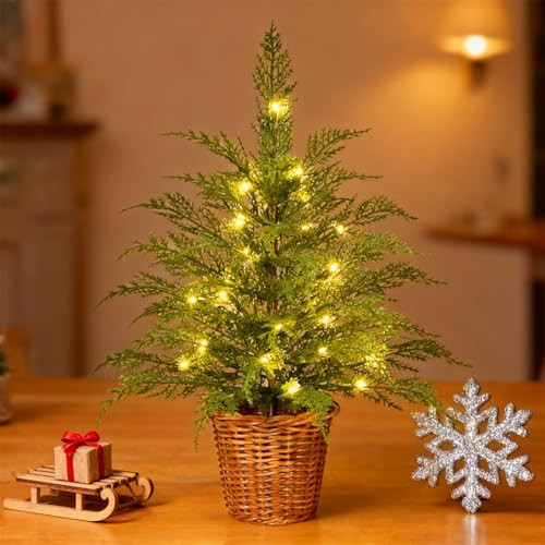 My Texas House Christmas Tree 2/3 FT Plant Fertilizer Indoor Potted Plants,Cypress Christmas Tree with Lights for Office Apartment Entryway Indoor Use (26 in) | Amazon (US)