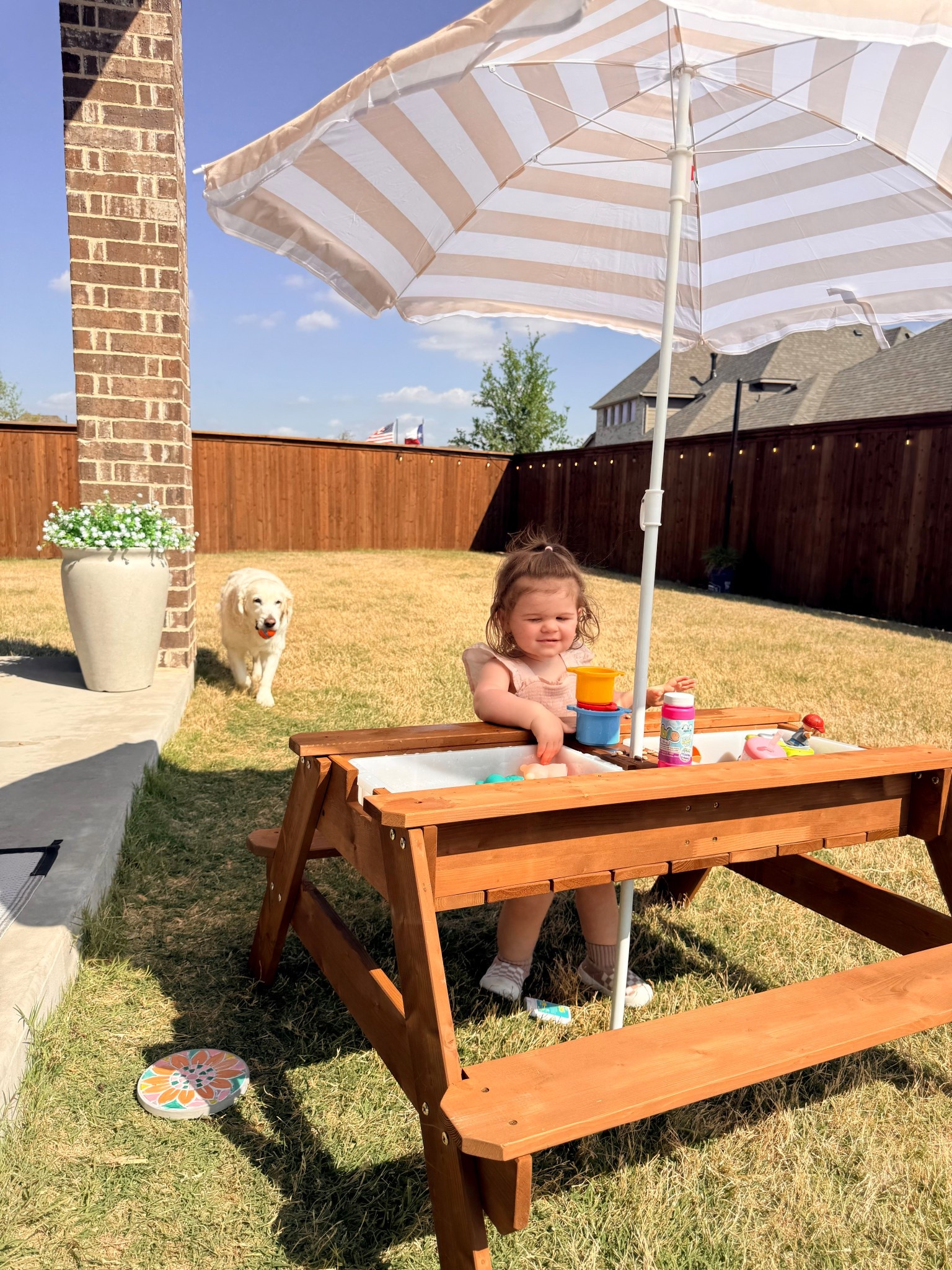  My favorite backyard purchases ☀️


#LTKmomlife #LTKHome #LTKKids