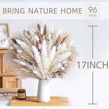 96PCS Natural Dried Pampas Grass Boho Home Decor Bouquet Phragmites Dried Flowers Bouquet for Wed... | Amazon (US)